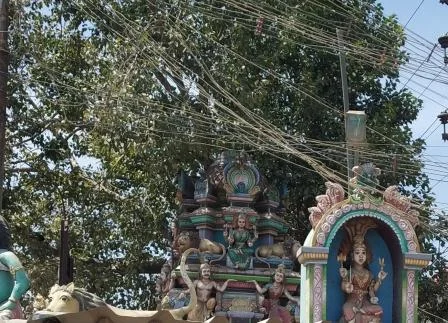 அருள்மிகு சக்தி மாரியம்மன் திருக்கோயில், கோணவட்டம், வேலூர் - 632008 - Main View