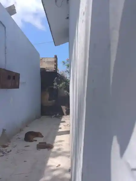 Arulmigu Sakthi Mariamman Temple, Rajaji Kuppam, Kumarapalayam Agraharam - 638183 அருள்மிகு &nbsp;சக்தி &nbsp;மாரியம்மன் &nbsp;திருக்கோவில், ராஜாஜி குப்பம், குமாரபாளையம் அக்ரஹாரம் - 638183, Namakkal - Ancient Temple Architecture and History Image 3