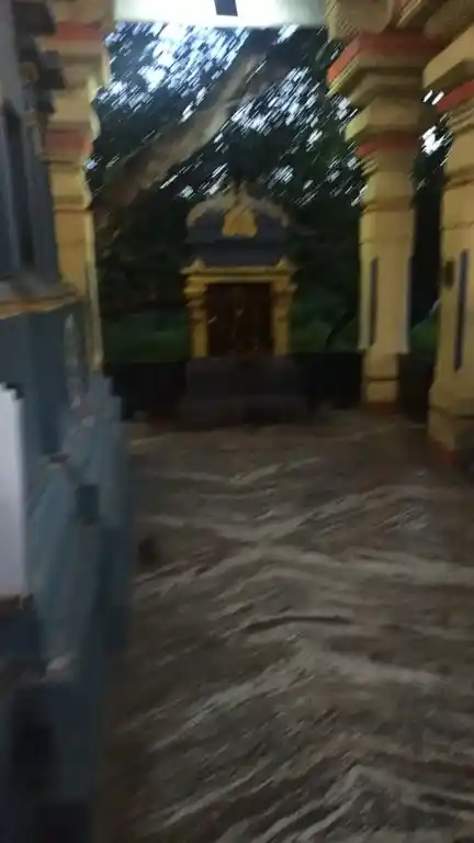 Arulmigu Sakthi Muthamman Temple, Chinna Neelankarai, Chennai - 600115 அருள்மிகு சக்தி முத்தம்மன் திருக்கோயில், சின்ன நீலாங்கரை, சென்னை - 600115, Chennai - Ancient Temple Architecture and History Image 2