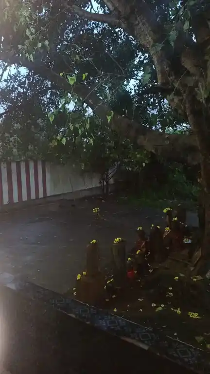 Arulmigu Sakthi Muthamman Temple, Chinna Neelankarai, Chennai - 600115 அருள்மிகு சக்தி முத்தம்மன் திருக்கோயில், சின்ன நீலாங்கரை, சென்னை - 600115, Chennai - Ancient Temple Architecture and History Image 4