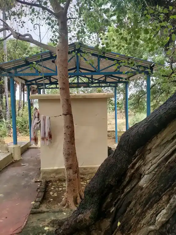 Arulmigu Sakthi Vinayagar Temple, Near Alakaguthar Temple, Chepparai - 627359 அருள்மிகு சக்தி விநாயகர் திருக்கோயில், அழகிய கூத்தா் கோவில் அருகில், செப்பரை - 627359, Tirunelveli - Ancient Temple Architecture and History Image 4