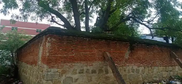 Arulmigu Sakthi Vinayagar Temple, Near Merchantel Bank Nenmeni, Nenmeni - 626202