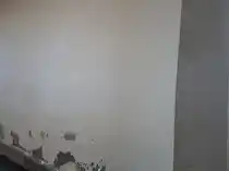 Arulmigu Sakthi Vinayagar Temple, Tharukapuram - 627758 அருள்மிகு சக்தி விநாயகர் திருக்கோயில், Tharukapuram - 627758, Tenkasi - Ancient Temple Architecture and History Image 5