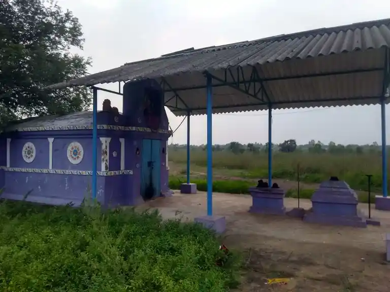 Arulmigu Sakthiamman Temple, Near Ration Shop, Pallavada - 601202 அருள்மிகு சக்தியம்மன் திருக்கோயில், Near Ration Shop, Pallavada - 601202, Tiruvallur - Ancient Temple Architecture and History Image 3