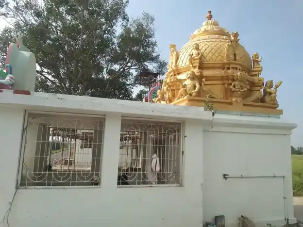 Arulmigu Sakthivel Murugan Temple, A. Papanampatty - 624709 அருள்மிகு சக்திவேல் முருகன் திருக்கோயில், A. Papanampatty - 624709, Dindigul - Ancient Temple Architecture and History Image 2