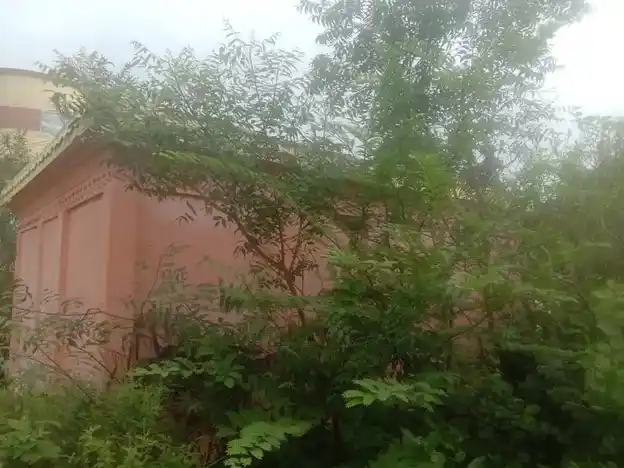 Arulmigu Sakthivinayagar Temple, Templekuupam - 604408