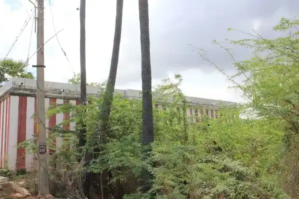 Arulmigu Sakthivinayagar Temple, Village Out Side, Keelanatham - 627353 அருள்மிகு சக்தி விநாயகர் திருக்கோயில், Village Out Side, Keelanatham - 627353, Tirunelveli - Ancient Temple Architecture and History Image 3