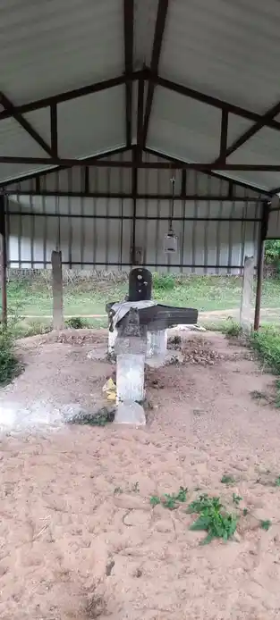 Arulmigu Sakthiyasivagam Temple, Vadakal - 610001 Arulmigu Sakthiyasivagam Temple, Vadakal - 610001, Thiruvarur - Ancient Temple Architecture and History Image 5