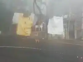 Arulmigu Salaipparai Muniappan Temple, Sundakkadu, Yercaud - 636601 அருள்மிகு சாலைப்பாறை முனியப்பன் திருக்கோயில், Sundakkadu, Yercaud - 636601, Salem - Ancient Temple Architecture and History Image 4