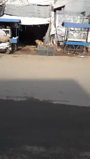 Arulmigu Salavai Karupanasamy Temple, Yanaikkal, Madurai - 625001