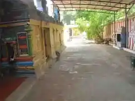 Arulmigu Sambanthar Swamy Temple, Sitharkadu - 609003 அருள்மிகு சம்பந்தர்சுவாமி திருக்கோயில், சித்தர்காடு, Sitharkadu - 609003, Mayiladuthurai - Ancient Temple Architecture and History Image 4