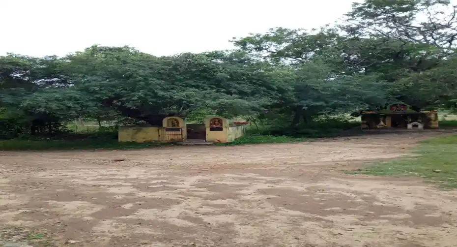 Arulmigu Samundeeswari Amman Temple, Samarishi Kuppam - 635805 அருள்மிகு சாமுண்டிஈஸ்வரியம்மன் திருக்கோயில், சாமரிசிகுப்பம் - 635805, Vellore - Ancient Temple Architecture and History Image 2