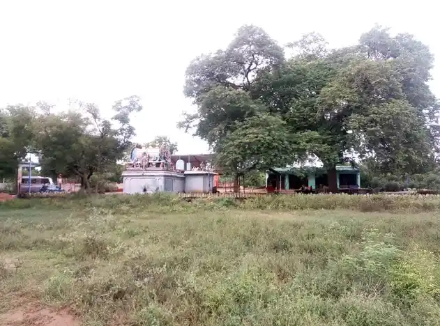 Arulmigu Samundi Temple, Ponparapi - 621710 Arulmigu Samundi Temple, Ponparapi - 621710, Ariyalur - Ancient Temple Architecture and History Image 6