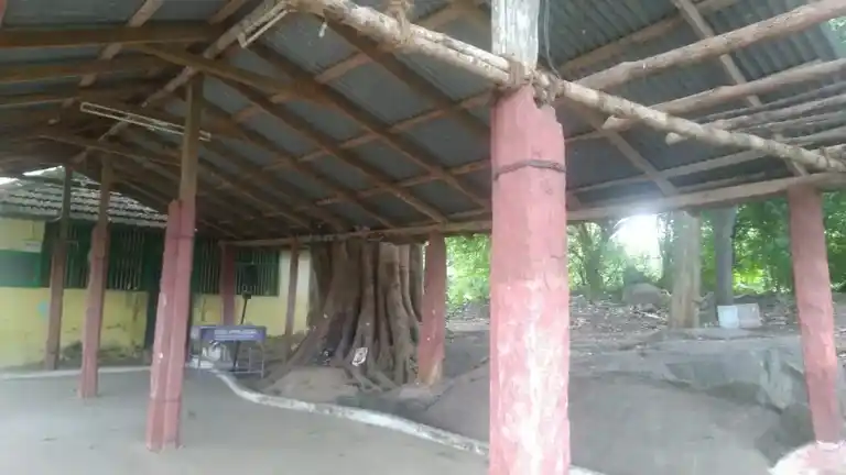 Arulmigu Samundiamman Temple, Kalathupudur - 642002 அருள்மிகு சாமுண்டியம்மன் திருக்கோயில், Kalathupudur - 642002, Coimbatore - Ancient Temple Architecture and History Image 3