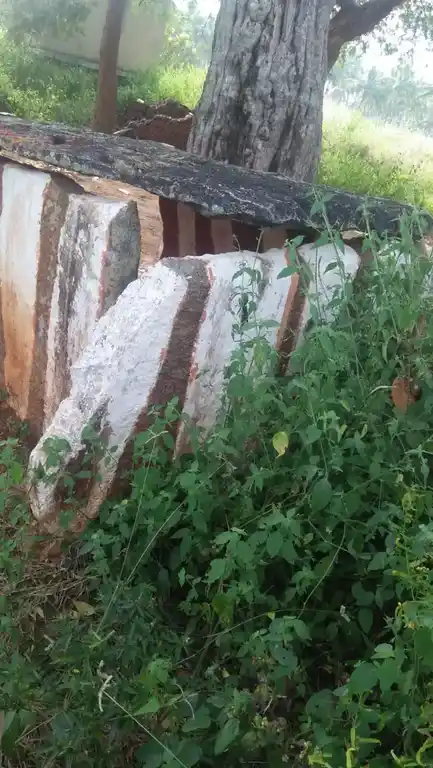 Arulmigu Samundiamman Temple, Mallappadi - 635104 அருள்மிகு சாமுண்டியம்மன் திருக்கோயில், மல்லப்பாடி - 635104, Krishnagiri - Ancient Temple Architecture and History Image 2