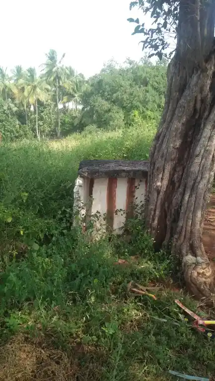 Arulmigu Samundiamman Temple, Mallappadi - 635104 அருள்மிகு சாமுண்டியம்மன் திருக்கோயில், மல்லப்பாடி - 635104, Krishnagiri - Ancient Temple Architecture and History Image 3