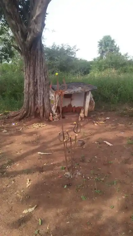 Arulmigu Samundiamman Temple, Mallappadi - 635104 அருள்மிகு சாமுண்டியம்மன் திருக்கோயில், மல்லப்பாடி - 635104, Krishnagiri - Ancient Temple Architecture and History Image 4