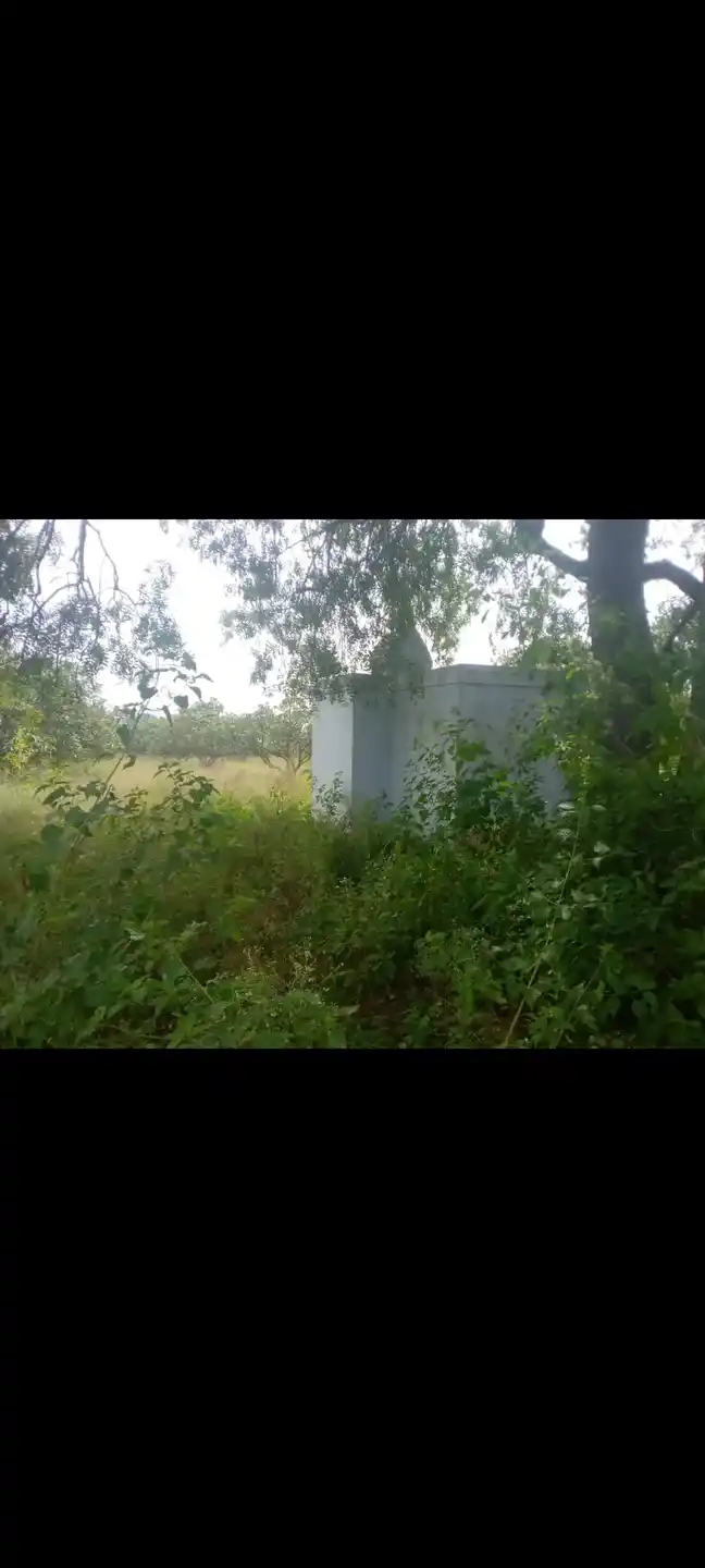 Arulmigu Samundiamman Temple, Onpathupanamaram - 635104 அருள்மிகு சாமுண்டியம்மன் திருக்கோயில், ஒன்பதுபனமரம் - 635104, Krishnagiri - Ancient Temple Architecture and History Image 2