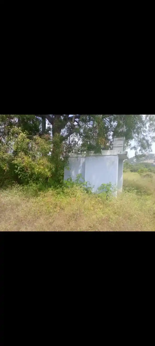 Arulmigu Samundiamman Temple, Onpathupanamaram - 635104 அருள்மிகு சாமுண்டியம்மன் திருக்கோயில், ஒன்பதுபனமரம் - 635104, Krishnagiri - Ancient Temple Architecture and History Image 3