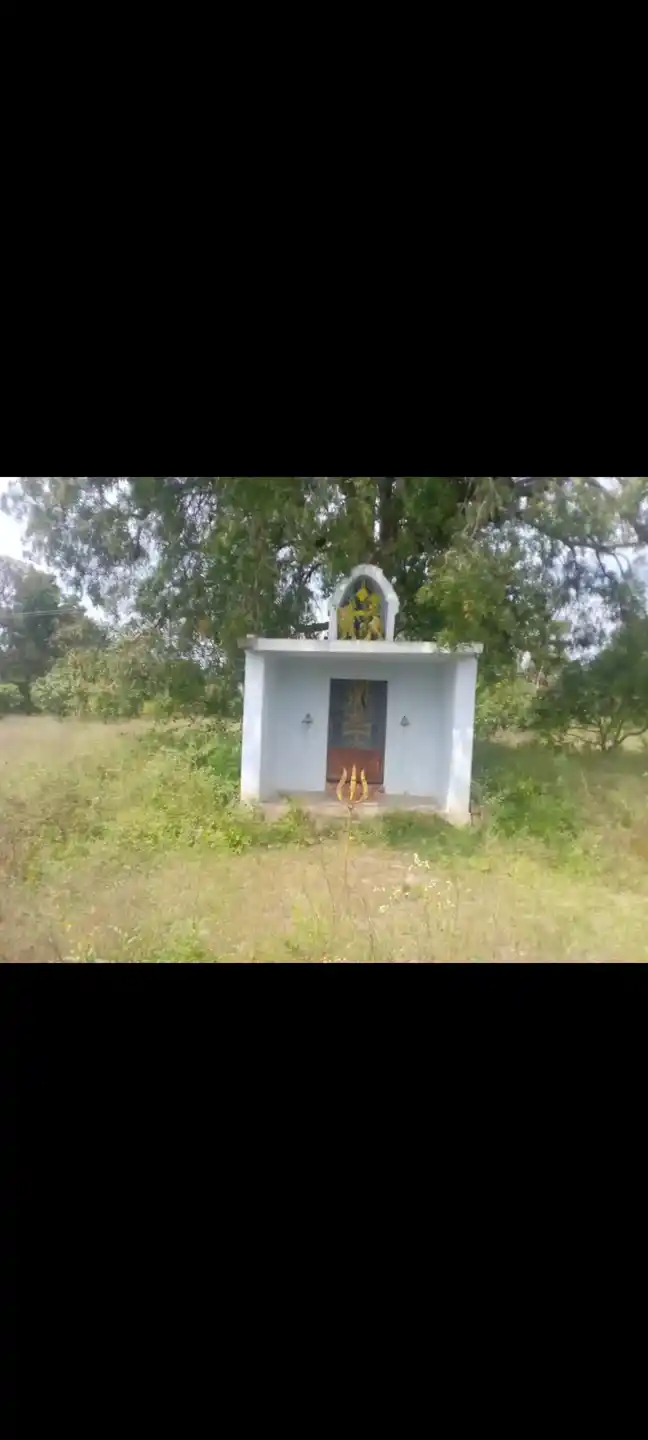 Arulmigu Samundiamman Temple, Onpathupanamaram - 635104 அருள்மிகு சாமுண்டியம்மன் திருக்கோயில், ஒன்பதுபனமரம் - 635104, Krishnagiri - Ancient Temple Architecture and History Image 4