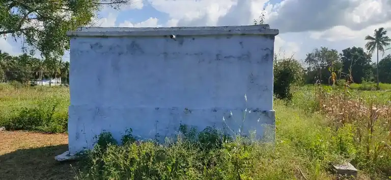 Arulmigu Samundiamman Temple, Seegalapalli - 635120 அருள்மிகு சாமுண்டியம்மன் திருக்கோயில், சீகலப்பள்ளி - 635120, Krishnagiri - Ancient Temple Architecture and History Image 4