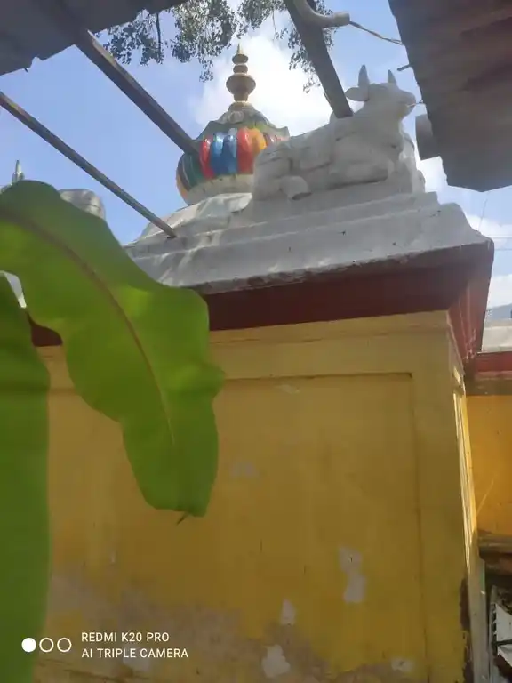 Arulmigu Samundiamman Temple, Town Hall, Coimbatore - 641001 அருள்மிகு சாமுண்டீஸ்வரியம்மன் திருக்கோயில், டவுன் ஹால், கோவை - 641001, Coimbatore - Ancient Temple Architecture and History Image 6