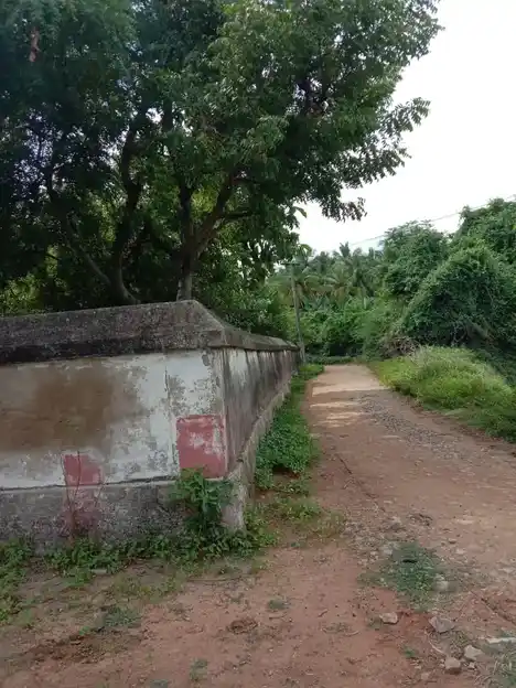Arulmigu Sanamuktheeswarar Temple, Rajendram - 613205 அருள்மிகு ஷனமூர்த்தீஸ்வரர் திருக்கோயில், Rajendram - 613205, Thanjavur - Ancient Temple Architecture and History Image 2