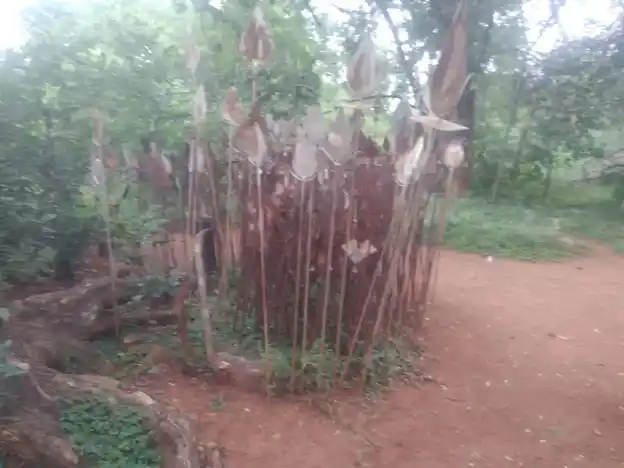 Arulmigu Sandhana Karupuswamy Temple, Nattarpatti - 621311 Arulmigu Sandhana karupuswamy Temple, Nattarpatti - 621311, Thiruchirappalli - Ancient Temple Architecture and History Image 4