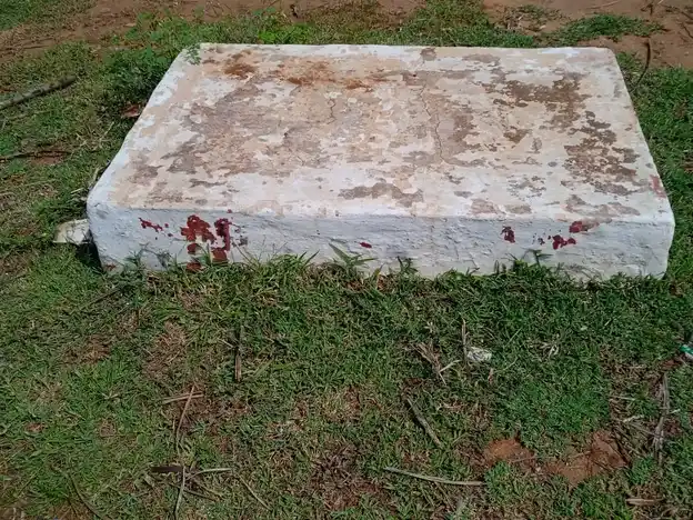 Arulmigu Saneeswarar Temple, Kombaipatty - 624202 Arulmigu Saneeswarar Temple, Kombaipatty - 624202, Dindigul - Ancient Temple Architecture and History Image 7