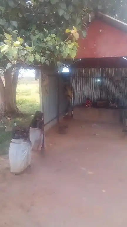 Arulmigu Sangamalai Samiyar Temple, Karupilakatalai - 621707 அருள்மிகு செங்கமலை ஆண்டவர் திருக்கோயில், கருப்பிலாக்கட்டளை - 621707, Ariyalur - Ancient Temple Architecture and History Image 3