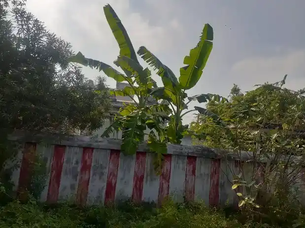 Arulmigu Sangameeshwarar Temple, Sithanji - 632521 அருள்மிகு சங்கமேஸ்வரர் திருக்கோயில், சித்தஞ்சி - 632521, Ranipet - Ancient Temple Architecture and History Image 5