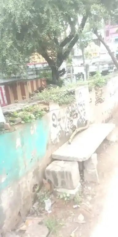 Arulmigu Sangameswarar Temple, Bus Stand Opposite, Pallipet - 631209 அருள்மிகு சங்கமேஸ்வரர் திருக்கோயில், Bus Stand Opposite, Pallipet - 631209, Tiruvallur - Ancient Temple Architecture and History Image 3