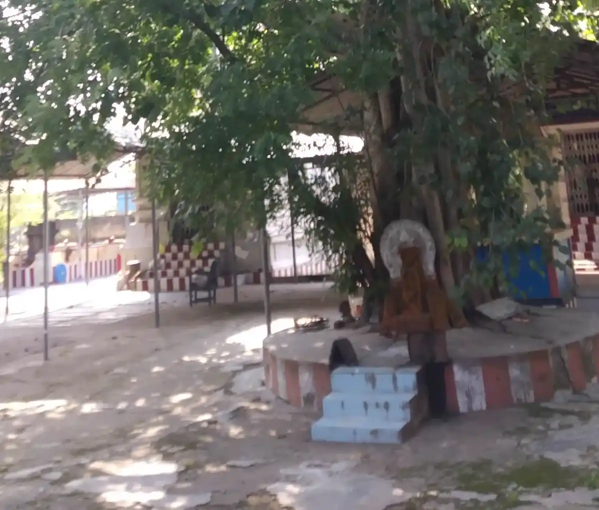 Arulmigu Sangararnarayana Varatharajaperumal Temple, Melacauvery - 612002 அருள்மிகு சங்கரநாராயண மற்றும் வரதராஜப்பெருமாள் கோயில், Melacauvery - 612002, Thanjavur - Ancient Temple Architecture and History Image 4