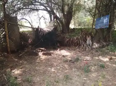 Arulmigu Sangeli Karuppanasamy Temple, Karandipalayam. - 638706 Temple