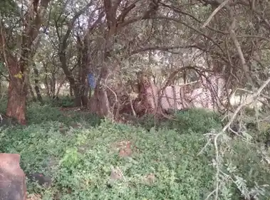 Arulmigu Sangeli Karuppanasamy Temple, Karandipalayam. - 638706 அருள்மிகு சங்கிலி கருப்பண்ணசாமி திருக்கோயில், கரண்டிபாளையம் - 638706, Erode - Ancient Temple Architecture and History Image 2