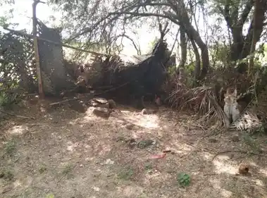 Arulmigu Sangeli Karuppanasamy Temple, Karandipalayam. - 638706 அருள்மிகு சங்கிலி கருப்பண்ணசாமி திருக்கோயில், கரண்டிபாளையம் - 638706, Erode - Ancient Temple Architecture and History Image 3