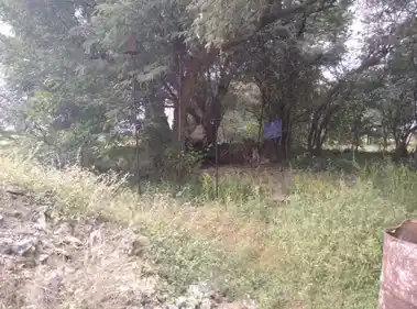 Arulmigu Sangeli Karuppanasamy Temple, Karandipalayam. - 638706 அருள்மிகு சங்கிலி கருப்பண்ணசாமி திருக்கோயில், கரண்டிபாளையம் - 638706, Erode - Ancient Temple Architecture and History Image 4