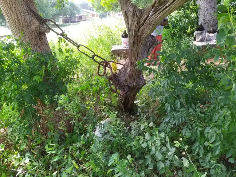 Arulmigu Sangili Karuppanar Temple, Kovilpalayam - 621716 அருள்மிகு சங்கிலிகருப்பனார் திருக்கோயில், Kovilpalayam - 621716, Perambalur - Ancient Temple Architecture and History Image 2