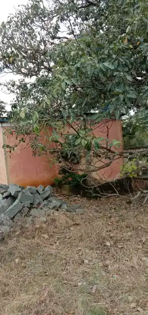 Arulmigu Sangiligonda Thimmarayaswami Temple, Suligunta - 635118 அருள்மிகு சங்கிலிகோண்டா திம்மராயசாமி திருக்கோயில், Suligunta - 635118, Krishnagiri - Ancient Temple Architecture and History Image 4