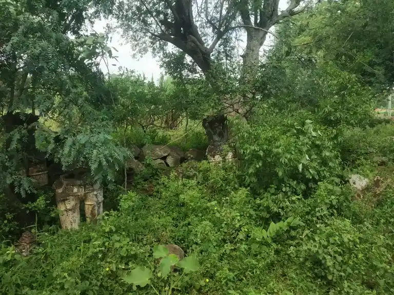 Arulmigu Sangilikaruppar Temple, Elanthalapatti - 621118 Temple