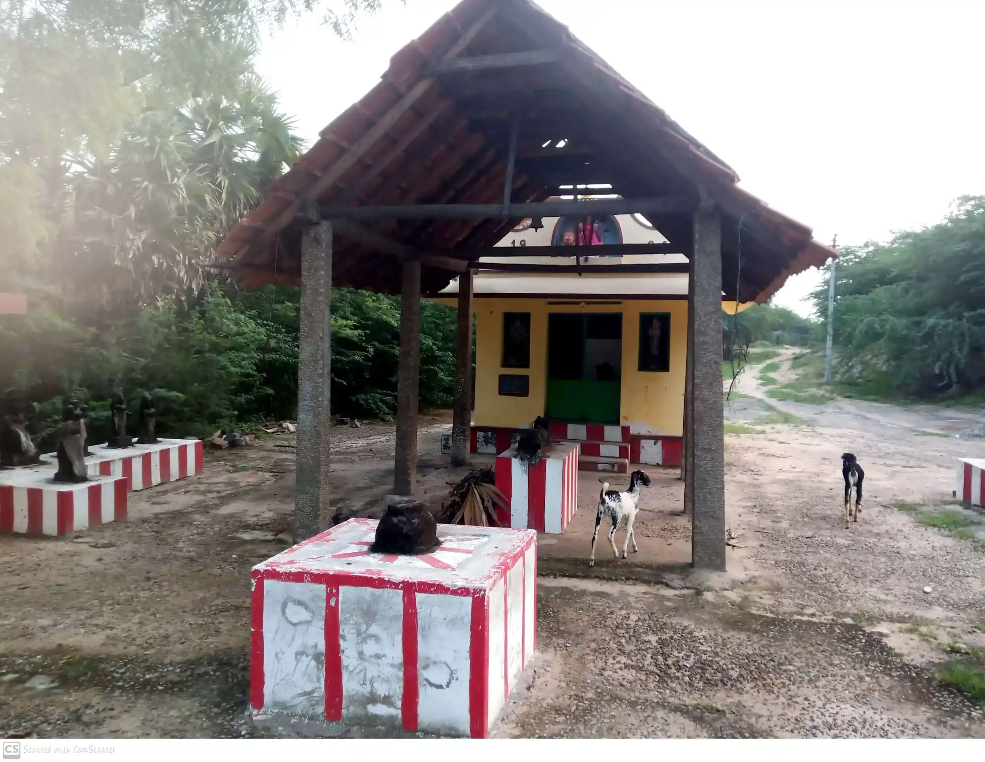 Arulmigu Sangu Nathaswaran (A) Selliamman Temple, Keelnattukkurichi - 628802 அருள்மிகு சங்குநாதமானியம் இணைப்பு அருள்மிகு செல்லியம்மன் திருக்கோயில், Keelnattukkurichi - 628802, Thoothukudi - Ancient Temple Architecture and History Image 5
