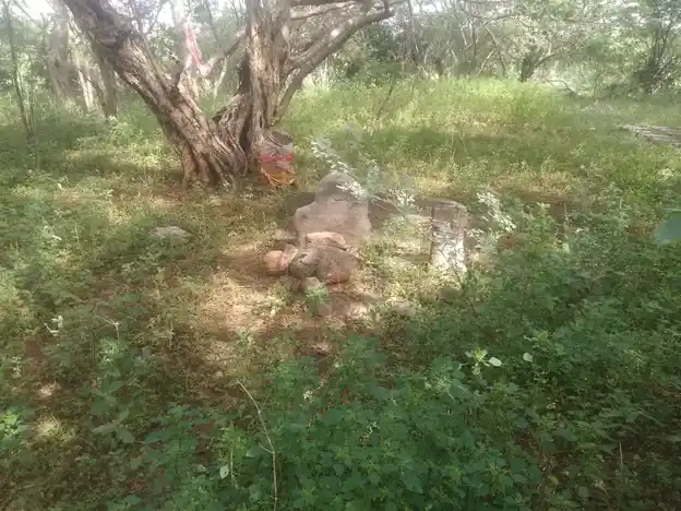 Arulmigu Sangutta Ayyanar Temple, Thuvarankurichi - 621310 Arulmigu Sangutta Ayyanar Temple, Thuvarankurichi - 621310, Thiruchirappalli - Ancient Temple Architecture and History Image 2