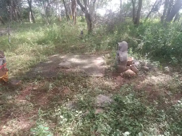 Arulmigu Sangutta Ayyanar Temple, Thuvarankurichi - 621310 Arulmigu Sangutta Ayyanar Temple, Thuvarankurichi - 621310, Thiruchirappalli - Ancient Temple Architecture and History Image 4