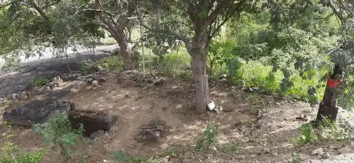 Arulmigu Sanjeevaraya Perumal Temple, Pudupalayam - 637408