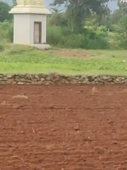 Arulmigu Sanjeevaraya Perumal Temple, Selavadai - 636501 Arulmigu Sanjeevaraya Perumal Temple, Selavadai - 636501, Salem - Ancient Temple Architecture and History Image 2