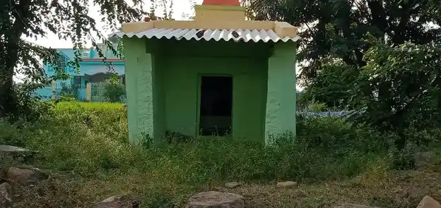 Arulmigu Sanjeeverayar Temple, Mallikuttai, Naganampatti - 635205