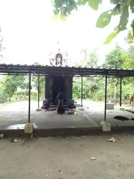 Arulmigu Sanjeevianumar Temple, Ambalburam - 609807