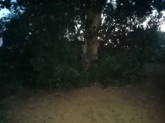 Arulmigu Sanjeeviraayar Temple, Arulavaadi - 605755 அருள்மிகு சஞ்சீவிராயர் திருக்கோயில், Arulavaadi - 605755, Viluppuram - Ancient Temple Architecture and History Image 3