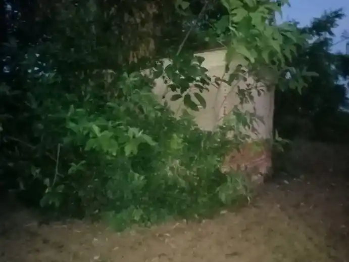 Arulmigu Sanjeeviraayar Temple, Arulavaadi - 605755 அருள்மிகு சஞ்சீவிராயர் திருக்கோயில், Arulavaadi - 605755, Viluppuram - Ancient Temple Architecture and History Image 4