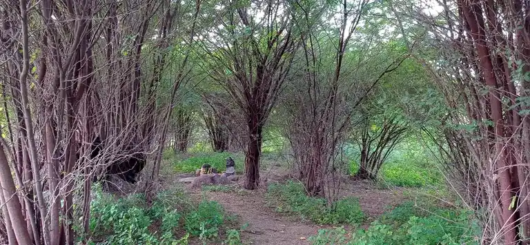 Arulmigu Sanjeevirayaperumal Temple, Idangimangalam - 621703